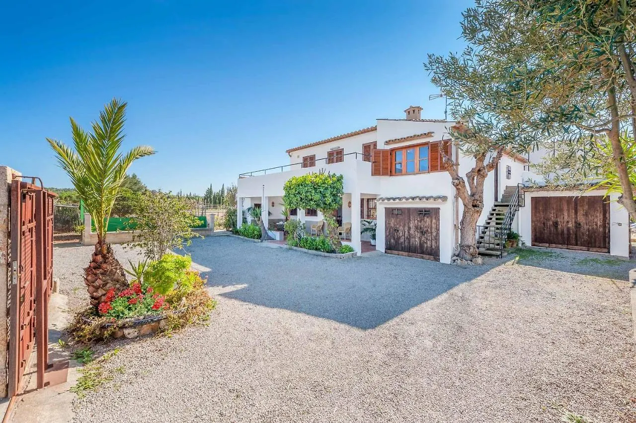 Villa Palmera Pollença