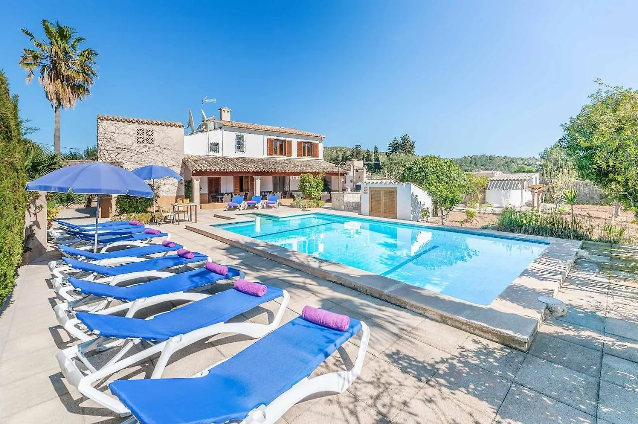 Villa Palmera Pollenca 0*,